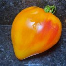 10 AU Seeds TOMATO Golden King of Serbia Heirloom Organic Rare Tassie Grown 10 AU Seeds TOMATO Golden King of Serbia Heirloom Organic Rare Tassie Grown