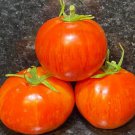 20 AU Seeds Red Boar TOMATO Heirloom Organic Rare Tomatoes Tassie Grown