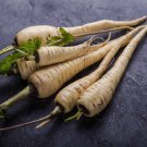 student variety Parsnip 200 AU Seeds Tasmanian Organically Grown Heirlooms