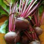 60 AU Seeds BEETROOT Detroit Red
