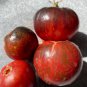 15 AU Seeds Gondwana LIGHTNING Tomato Organic Heirloom Indeterminate Rare Dwarf