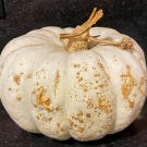 10 AU Seeds Zapalo Plumo Pumpkin Organic Heirloom Huge 