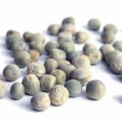 100 AU grams Blue sprouting Peas Organic Salad Sprouts Microgreens