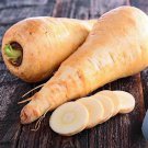 Parsnip Guernsey Half Long 100 AU Seeds Fresh Organic Heirloom