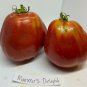 20 AU Seeds Mamma Mia delight TOMATO Tassie Organic Heirloom Determinate Passata