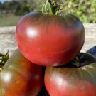 20 AU Seeds Paul Robeson TOMATO Tas Grown Organic Heirloom Summer Garden