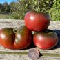 20 AU Seeds Paul Robeson TOMATO Tas Grown Organic Heirloom Summer Garden