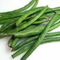 Kentucky Blue Beans 20 AU Seeds Treated Heirloom Vegetable Climbing