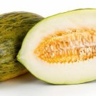 Favourite Spanish Melon Piel De Sapo 15 AU Seeds