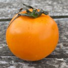 20 AU Seeds Ilses Orange Latvian Tomato Organic Heirloom Rare Tomatoes