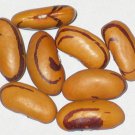 8 AU Seeds Tigers Eye Bean Organic Heirloom dried bean Rare