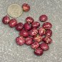 8 AU Seeds Rare Bean ANTO NEARLY ROUND Tassie Organic&Acirc;&nbsp;Heirloom dry beans