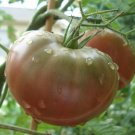 40 AU Seeds Black Krim Tomato Tomatoes Heirloom Summer Garden Veggie Tas Grown