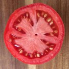 40 AU Seeds Siberian TOMATO Determinate Early Cold Tolerant Summer Vegetable