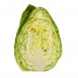 100 AU Seeds Cabbage Sugarloaf