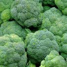 Broccoli 600 US Seeds Waltham 29 Vegetable