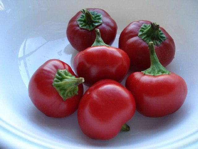 Red Cherry BOMB Hots Hot Pepper 50 US Seeds Vegetable HEIRLOOM