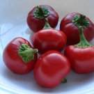 Red Cherry BOMB Hots Hot Pepper 50 US Seeds Vegetable HEIRLOOM