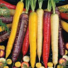 Rainbow Blend Carrot 500 US Seeds Vegetable Garden Mixture