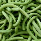 Dark Armenian Cucumber 50 US Seeds Long Snake Serpent Vegetable