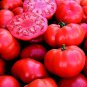Marmande Tomato 50 US Seeds Ct Vegetable Italian HEIRLOOM