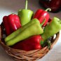 Cubanelle Pepper 50 US Seeds Sweet Vegetable