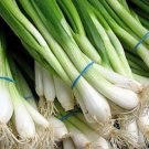 Onion Tokyo Long White 200 US Seeds Bunching Scallion Vegetable