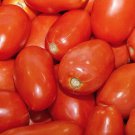 Roma Italian Tomato 100 US Seeds Ct Vegetable TOMATO PASTE SAUCE