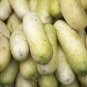 White Wonder Cucumber 50 US Seeds Vegetable Garden Heirloom