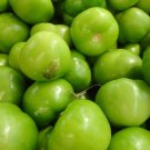 Tomatillo Verde 100 US Seeds Ct Vegetable Salsa HEIRLOOM