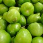 Tomatillo Verde 100 US Seeds Ct Vegetable Salsa HEIRLOOM