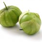 Tomatillo Verde 100 US Seeds Ct Vegetable Salsa HEIRLOOM