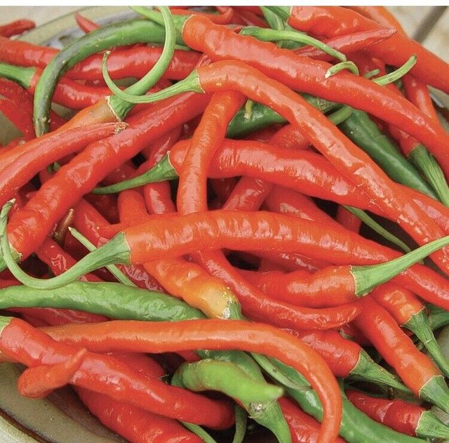 Cayenne Pepper 50 US Seeds Long Red Slim HOT Vegetable