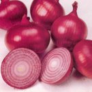 Red Creole Onion 200 US Seeds Spicy Short Day Cajun Vegetable