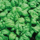 100 US Seeds Spinach Bloomsdale Dark Green Vegetable Garden Heirloom