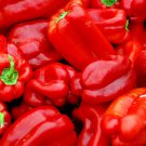 Big Red Sweet Pepper 25 US Seeds Capsicum Anuum Vegetable HEIRLOOM