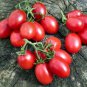 Crovarese Italian Grape Tomato 100 US Seeds Ct Vegetable HEIRLOOM