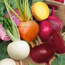 50 US Seeds Rainbow Blend Beet Mix Ct Heirloom Garden Multiple Colors