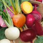 50 US Seeds Rainbow Blend Beet Mix Ct Heirloom Garden Multiple Colors