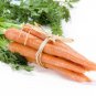 Imperator Carrot 1000 US Seeds Vegetable Garden Heirloom
