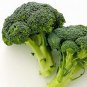 Broccoli 600 US Seeds Green Sprouting Calabrese