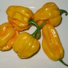 Jamaican Yellow Habanero Pepper 25 US Seeds Mushroom Chile HOT Pepper