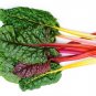 Rainbow Swiss Chard 50 US Seeds Ct Vegetable Garden