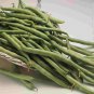 Contender Bean 40 US Seeds Ct Bush Green Stringless Vegetable Garden