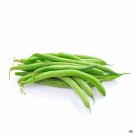 Blue Lake Pole Bean 75 US Seeds Ct Green Vegetable Garden Heirloom