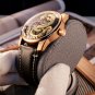 Dragon Dial Leather Automatic Mechanical Double Wheel Waterproof Watch For Men PGBL