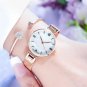 Luxury Women Watches Shell Dial Gold Stainless Steel Mesh Strap Japan Quartz Movement