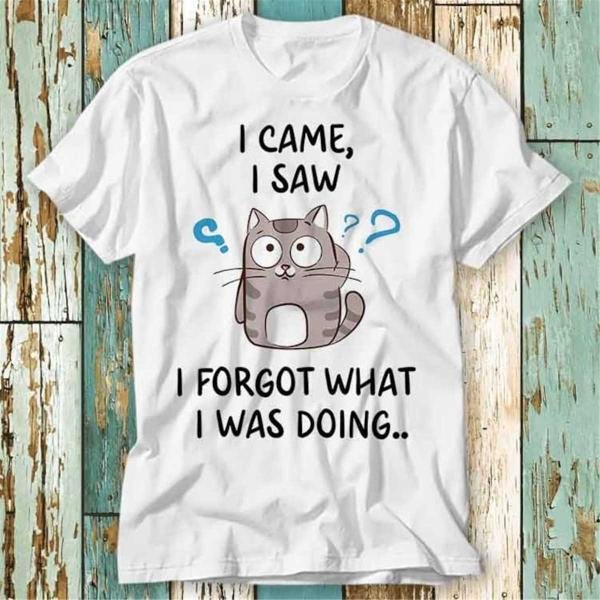 I Came I Saw I Forgot What I Was T-Shirt