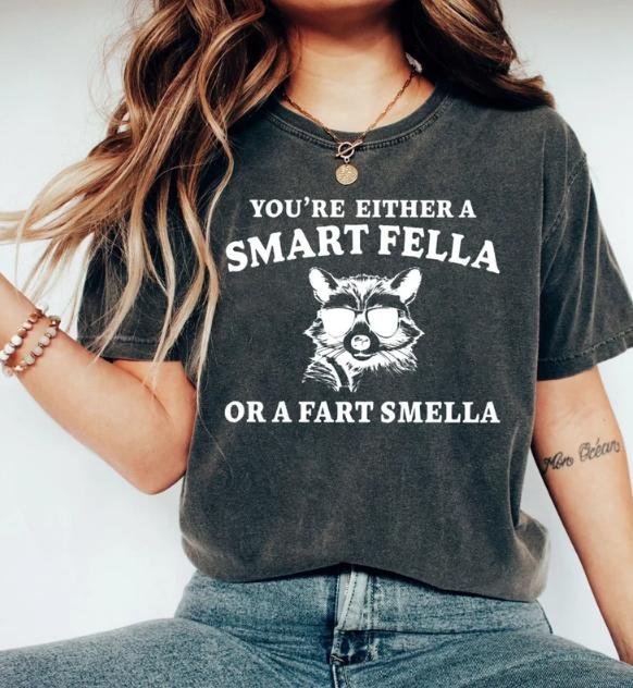 Weird T Shirt, Are You A Smart Fella Or Fart Smella Retro Cartoon T Shirt, Meme T Shirt, Trash Panda