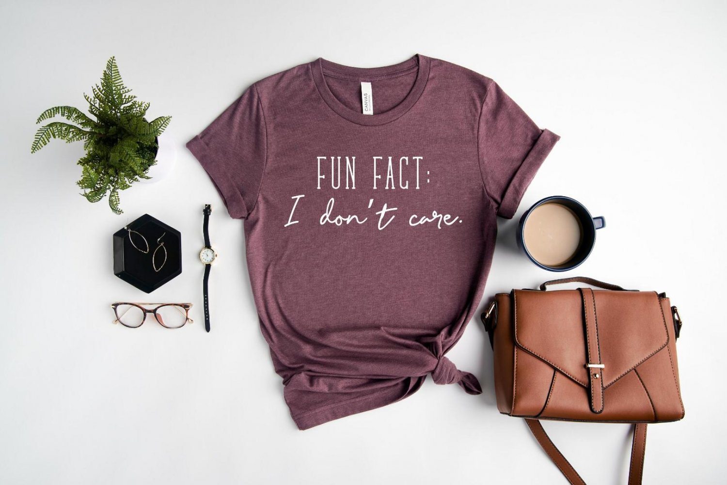 Meme Shirts, Fun Fact I Dont Care Shirt, Meme Shirt